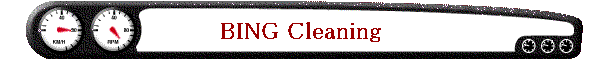 BING Cleaning